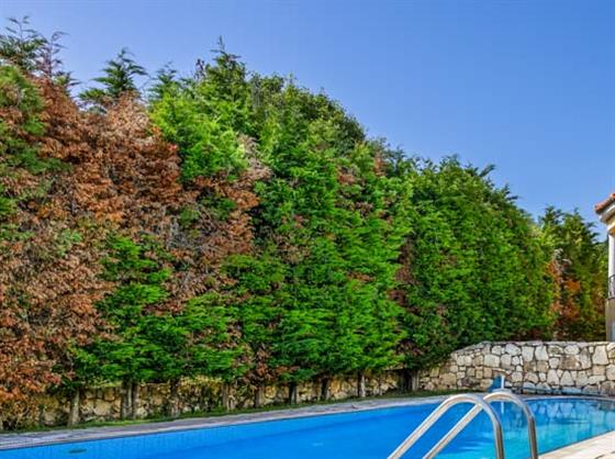 Villa Thalassa Panorama, Svoronata, Kefalonia