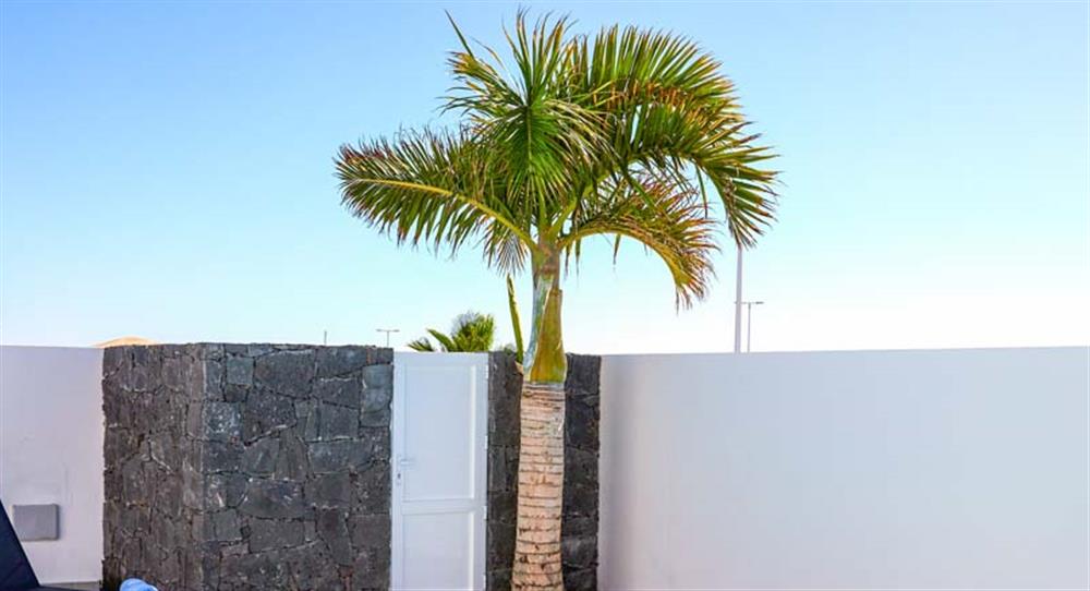 Villa Buganvilla in Playa Blanca, Lanzarote has 4 bedrooms