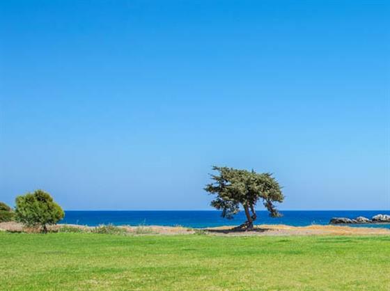 Villa Kiotari Ariti, Kiotari, Rhodes