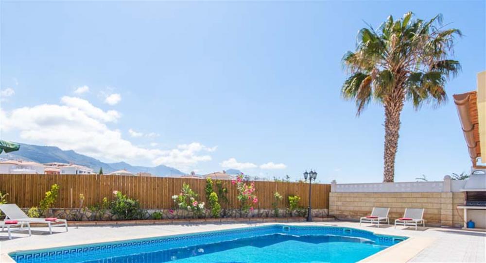 Enjoy your holiday at Villa Buganvilla Vistas in Callao Salvaje, Tenerife